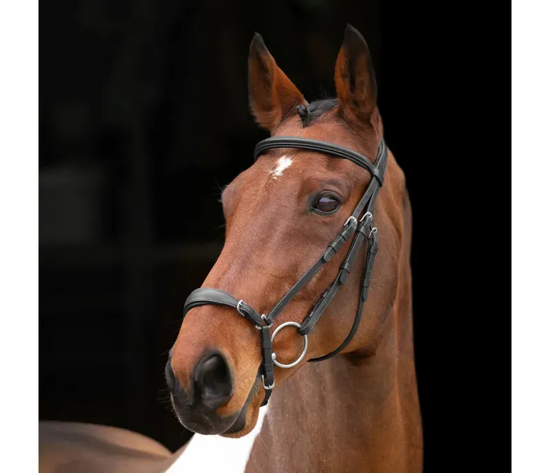 Velociti Drop Noseband Bridle in Black