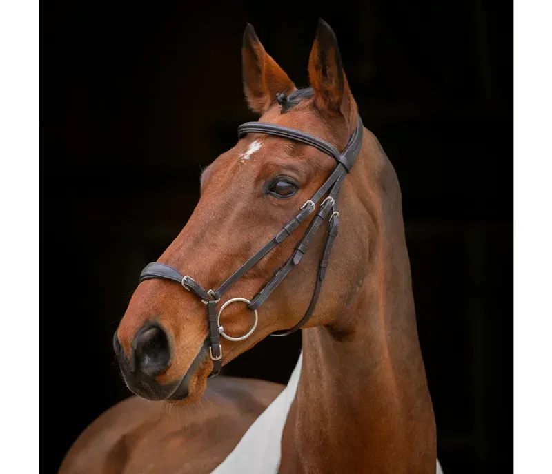Velociti Drop Noseband Bridle in Havana