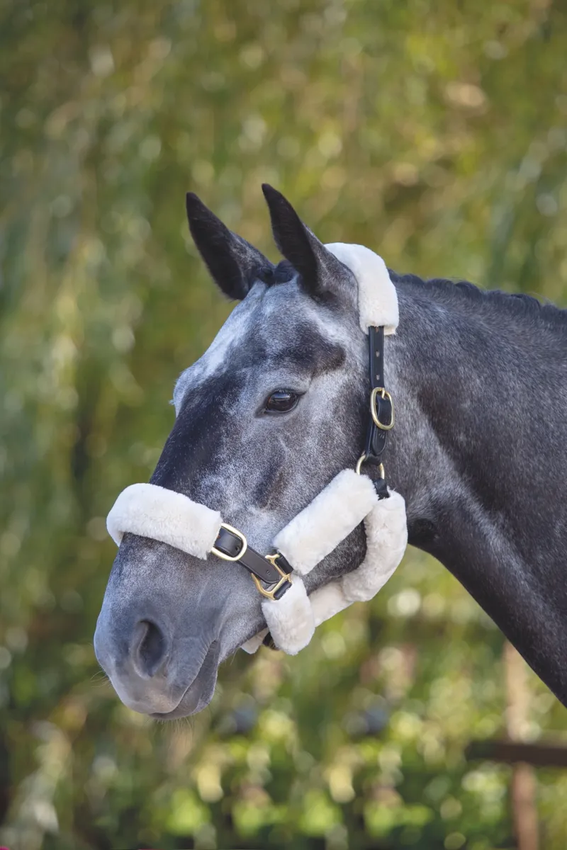 Shires Performance 6 Piece SupaFleece Halter Fleece in Natural