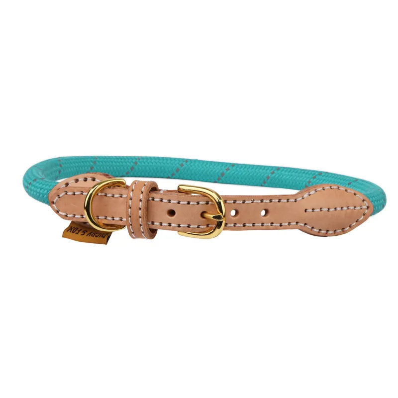 Digby and Fox Reflective Dog Collar in Teal