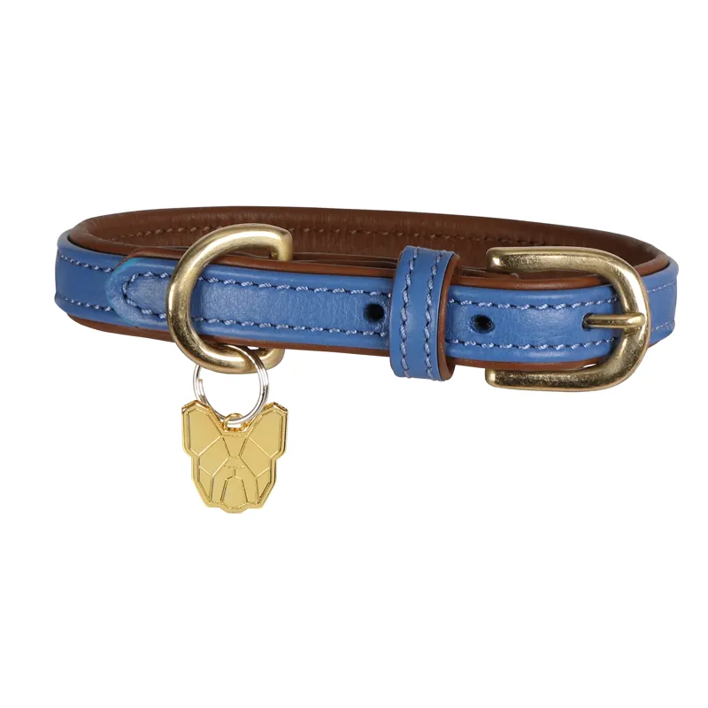 Digby and Fox X-Small Padded Leather Dog Collar in Royal