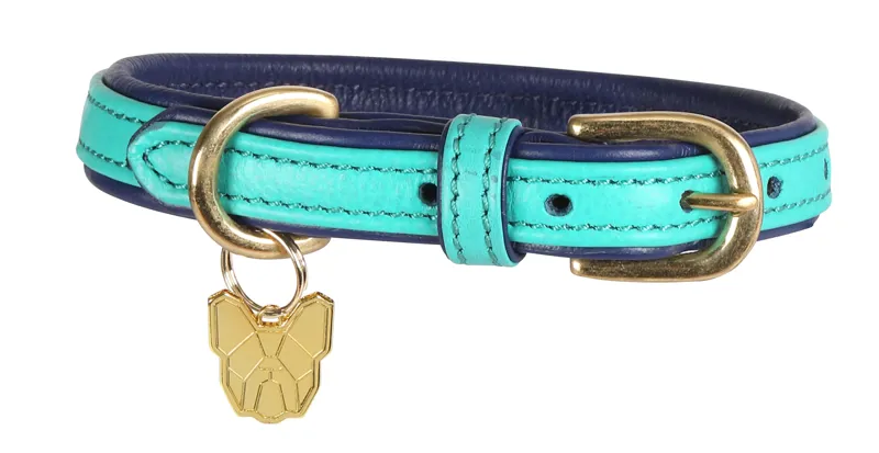 Digby and Fox Large Padded Leather Dog Collar in Aqua