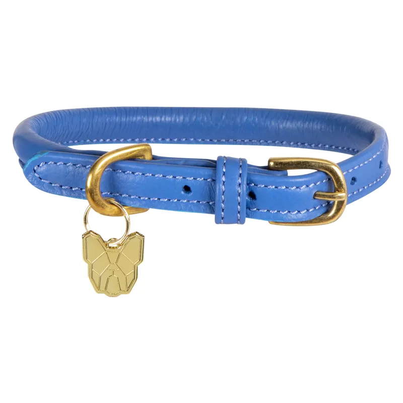 Digby and Fox Medium/Large Rolled Leather Dog Collar in Royal