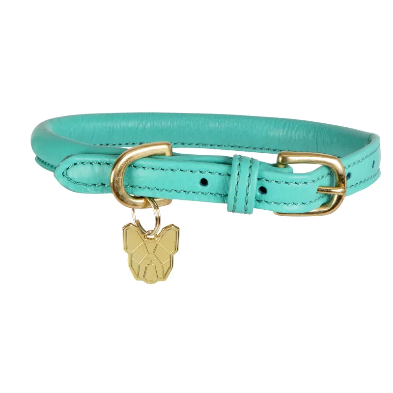 Digby and Fox Medium Rolled Leather Dog Collar in Teal