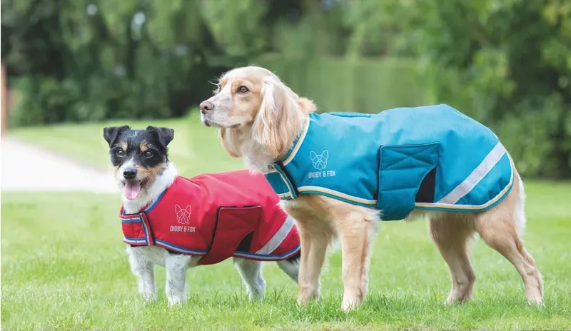 Digby and Fox Waterproof Dog Coat in Teal 
