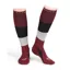 Aubrion Perivale Compression Socks in Wine