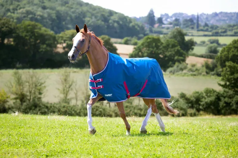 Tempest Original Lite Turnout Rug in Teal