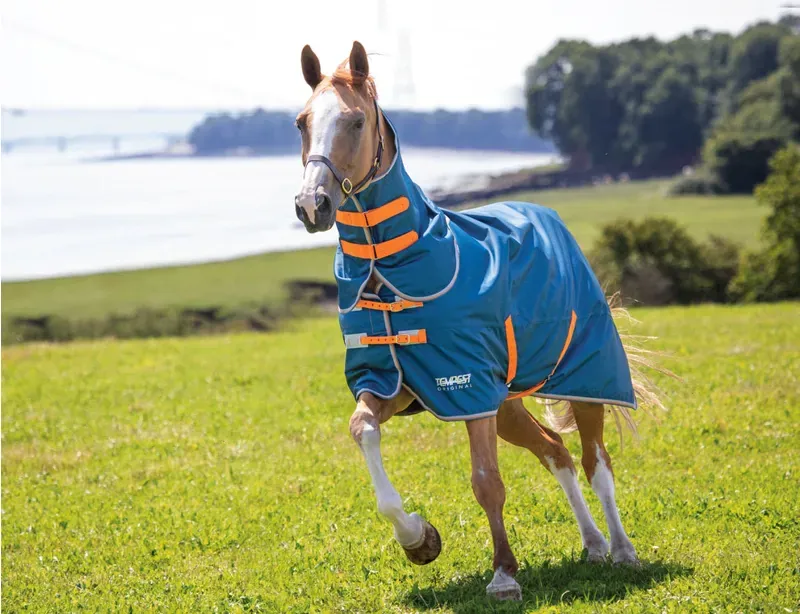 Tempest Original Lite Turnout Rug and Neck Set in Teal