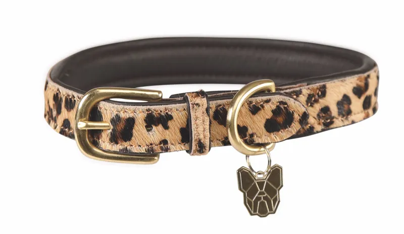 Digby and Fox Cow Hair Large Dog Collar in Leopard Print