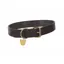 Digby and Fox Flat Small Leather Dog Collar in Brown