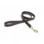 Digby and Fox Flat Large Leather Dog Lead in Brown