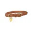 Digby and Fox Rolled Medium/Large Leather Dog Collar in Tan