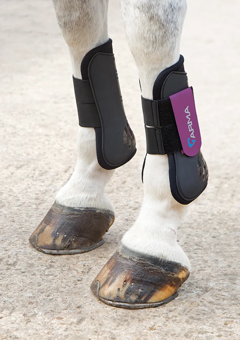 Shires Arma Tendon Boots - Black/Plum