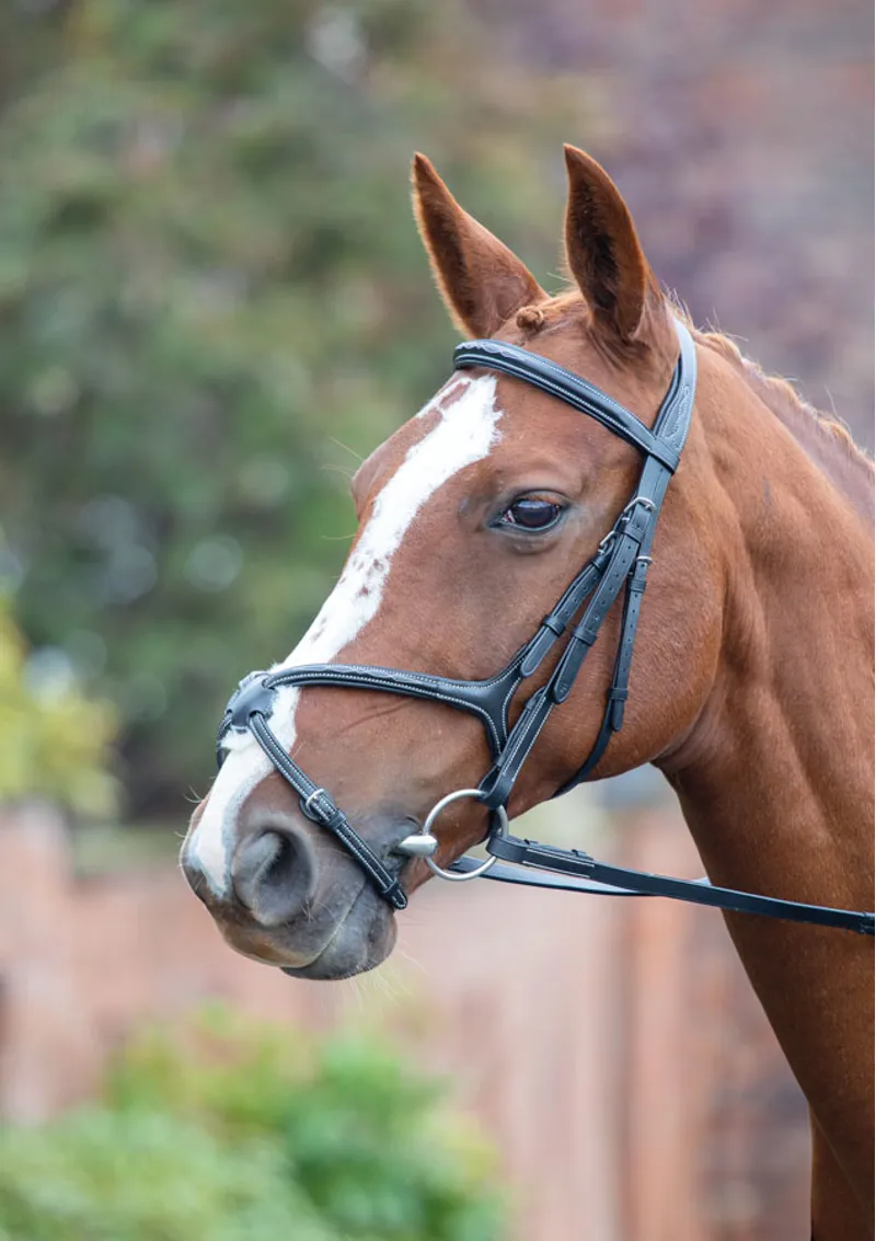 Shires Avignon Grackle Bridle - Black