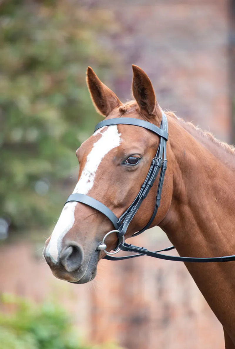 Shires Avignon Hunter Cavesson Bridle - Oak 